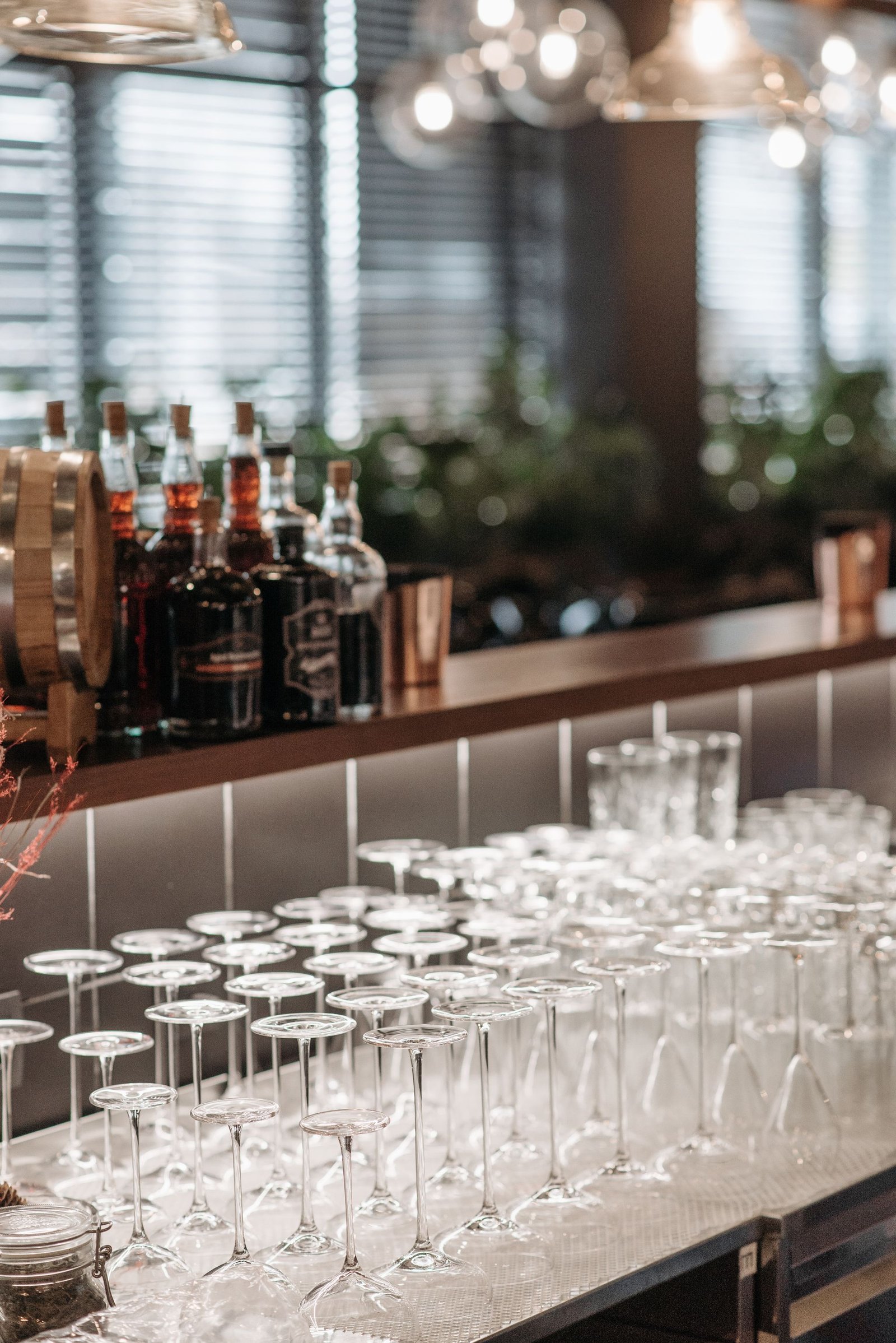 Rows of glasses set along a bar counter