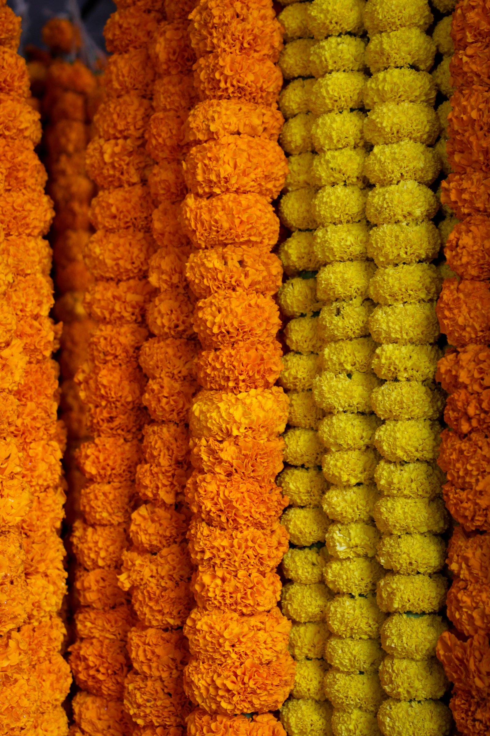 Marigold garlands