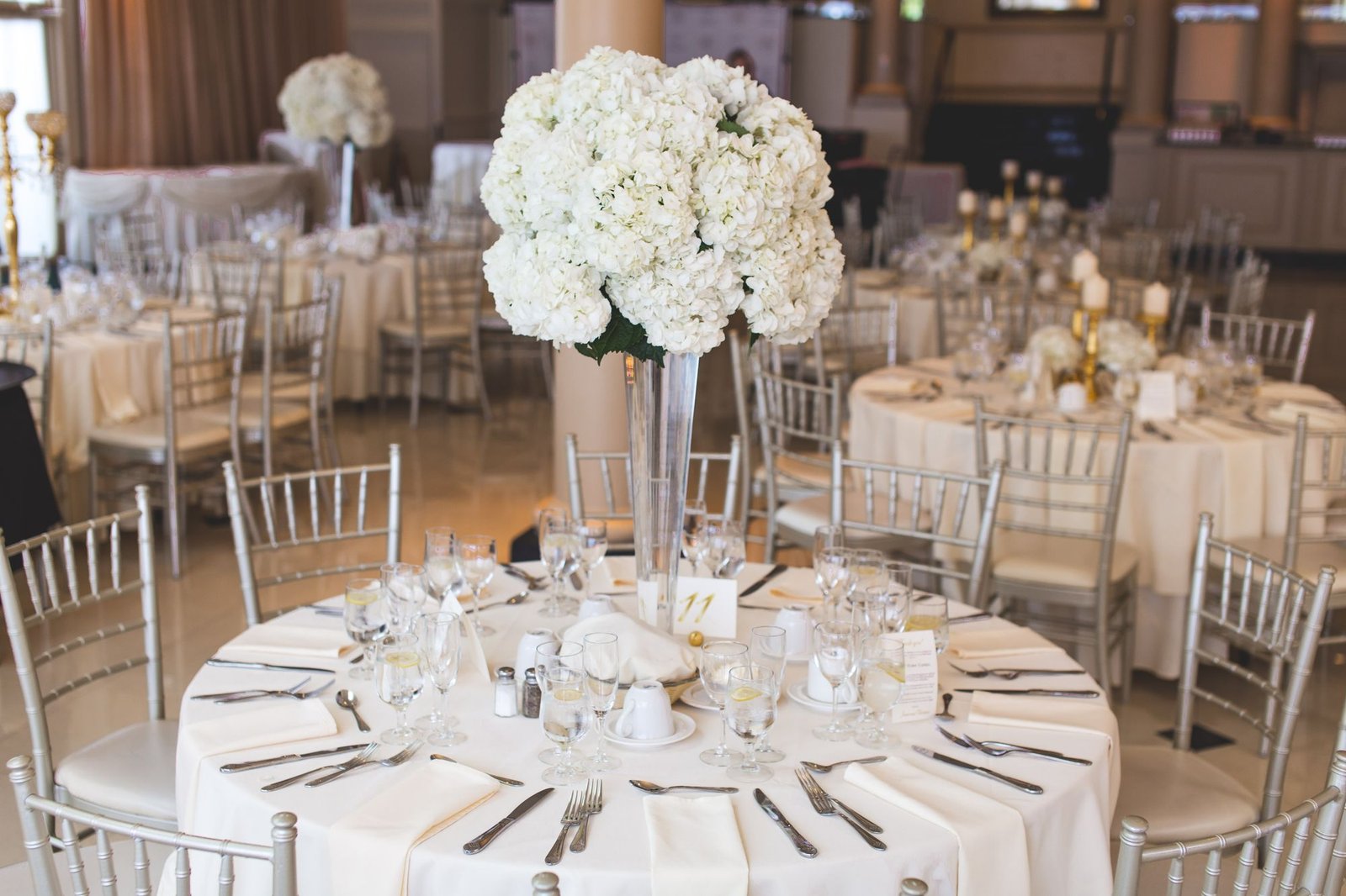 Event chairs and linen